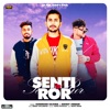 Senti Ror (feat. Aniket Jirbari) - Single