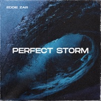 Perfect Storm - Single - Eddie Zar