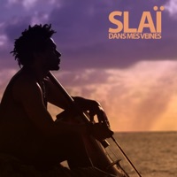 Dans mes veines - Single - Slaï