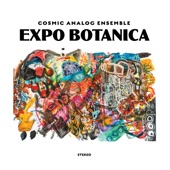 Cosmic Analog Ensemble - Executive Summary