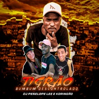 Bumbum Descontrolado - Single - MC Tigrão, DJ Penelope Lee & Koringão