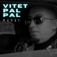 Vitet Pal Pal - Single - Mandy