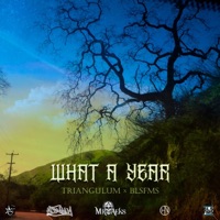What a Year - Single - Triangulum & BLSFMS