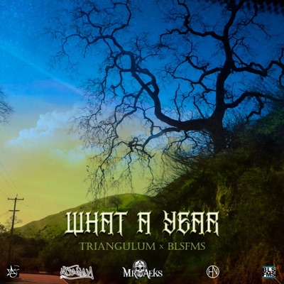 What a Year - Single