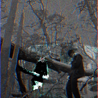 Glass - Single