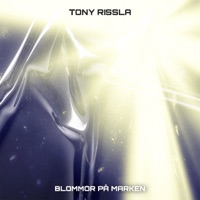 Blommor på marken - Single - Tony Rissla