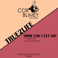 How Can I Let Go - Single - True2Life