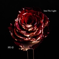 Into the Light - EP - Feki