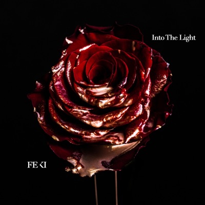Into the Light - EP