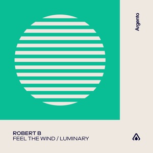 Feel the Wind / Luminary - EP