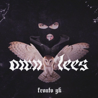 Intro Ownlees - Single