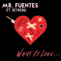 What Is Love... (feat. Reymenn) - Single - Mr. Fuentes