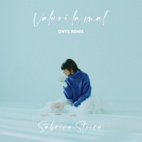 Valuri la mal (Onyx Remix) - Single - Sabrina Stoica