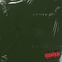 ВЕЧНОЗЕЛЕНЫЙ - EP - Bruvvv