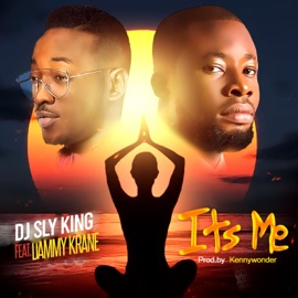 Its Me (feat. Dammy Krane) DJ Sly King