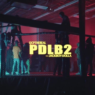 PDLB 2 (feat. QcpTheReal) - Single