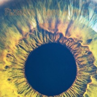 Lost In Your Eyes - Single - Flamber