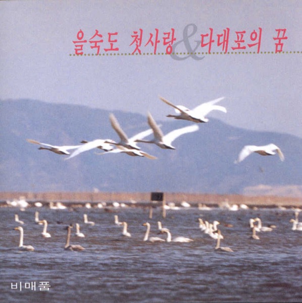 을숙도 첫사랑 & 다대포의 꿈
