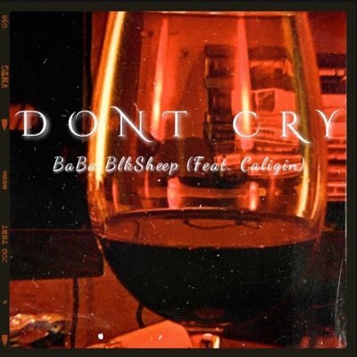 DON'T CRY (feat. Caligin) - Single