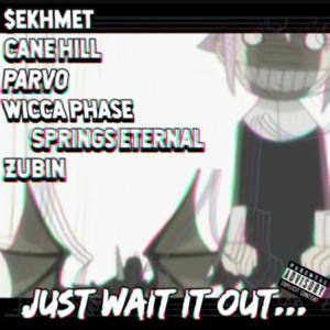 Just Wait It Out... (feat. Cane Hill, Parv0, Wicca Phase Springs Eternal & Zubin)