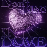 Don't Fall In Love - souljadarkness