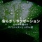 Aroma Music - Dream Star lyrics