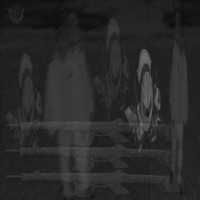 Never - Single - Chanelfather