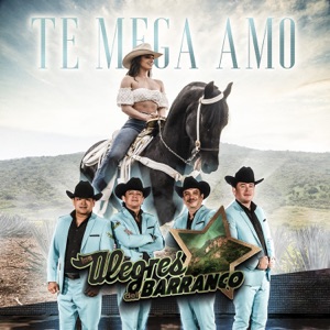 Te Mega Amo