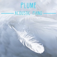 Plume (Acoustic Piano) - Single - Adrien de la Salle