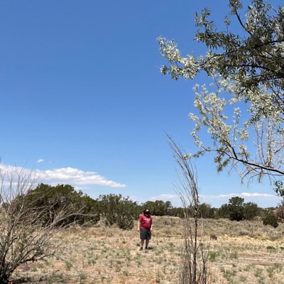 Delete My Contacts - Single