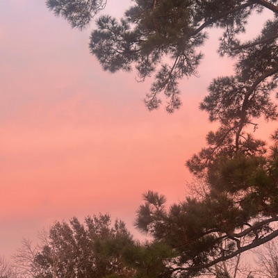 Money Business - Single