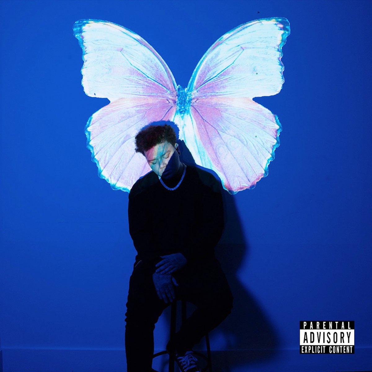 The Butterfly Effect Album by Phora Apple Music