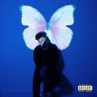 The Butterfly Effect - Phora