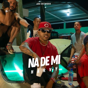 Na De Mi - Single