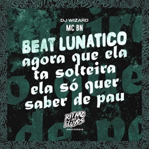Beat Lunático (Agora Que Ela Ta Solteira Ela Só Quer Saber de Pau)