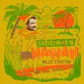 Christmas in Hawaii