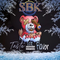 Taste Da Flavor - Single - Serial Beat Killers