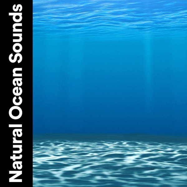 Natural Ocean Sounds