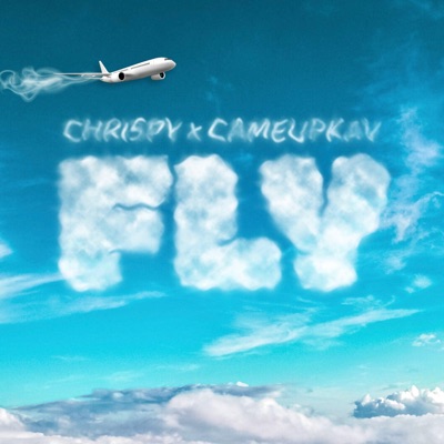 Fly - Single