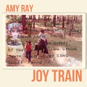 Amy Ray - Joy Train
