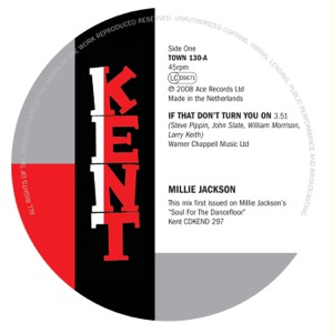 If That Don't Turn You On / You Can't Stand the Thought - Single