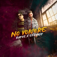 No Volveré - Single - Rafee & El Dandy