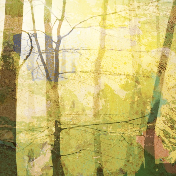 Hind - Single
