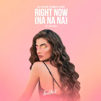 Right Now (Na Na Na) - Single by Lost Culturé, Besomage & VADDS album reviews, ratings, credits