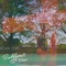 Narcissistic Love - Radderall lyrics