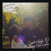 Can't Help Falling In Love (Acoustic) artwork
