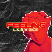 Feeling (feat. 2 ICE) - Single - LKB