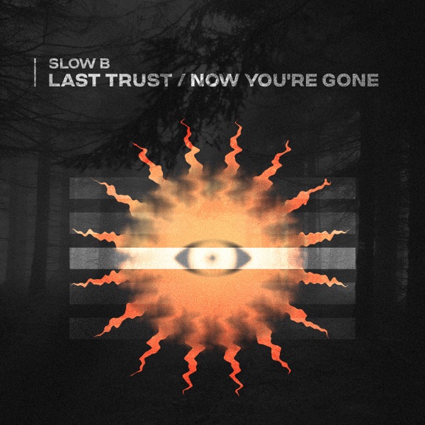 Last Trust \ Now You're Gone - Single