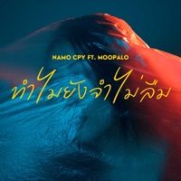 มองที่ฉันก็พอ (feat. MOOPALO) - Single - Namo CPY