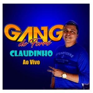 Não quero mais ir pra casa - GANG DO FORRÓ